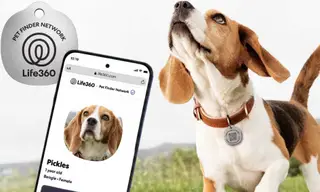 Life360 Introduces New Features for Pet Care Management