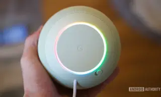 Gemini for Home Renames User to Fish Lemon
