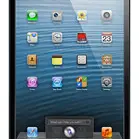 Apple iPad mini Wi-Fi + Cellular