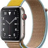 Apple Watch Edition Series 5