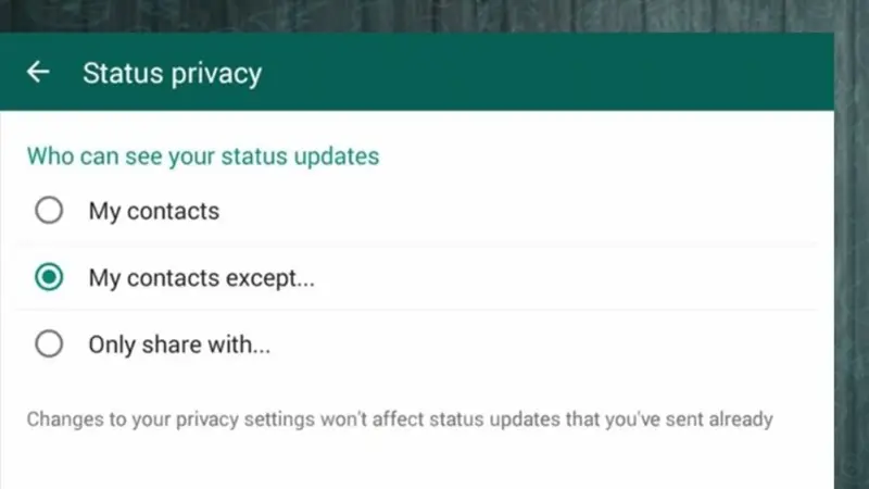 Cara menyembunyikan story whatsapp