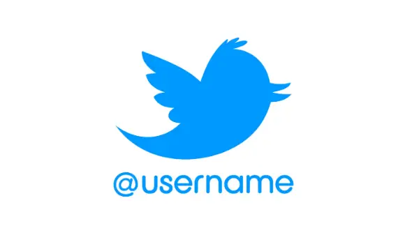 Cara Mengetahui Username Twitter yang Lupa Terbukti Berhasil