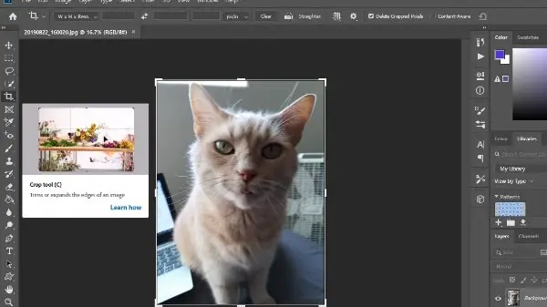 Cara Crop Foto di Photoshop dari Awal sampai Berhasil