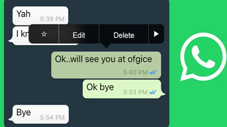 6 Tanda Nomor WhatsApp Anda Diblokir + Cara Mengonfirmasinya
