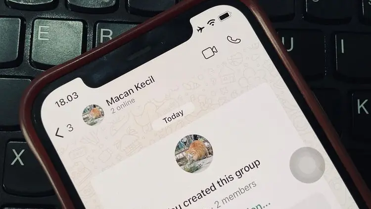 WhatsApp Group Kini Unggulkan Status Online: Ini Dia Tampilannya!