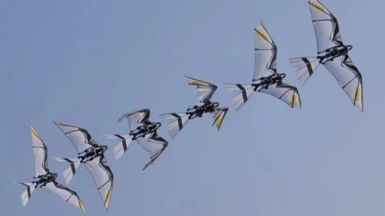 Ilmuwan Ciptakan Robot Burung Penerbang Elang