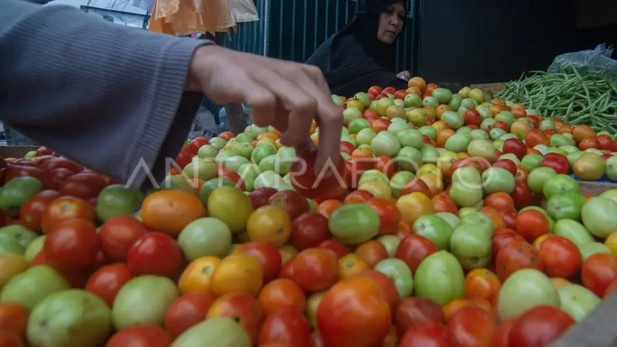 Waktunya Beli iPhone: Harga iPhone 12 Anjlok Jelang Rilis iPhone 17