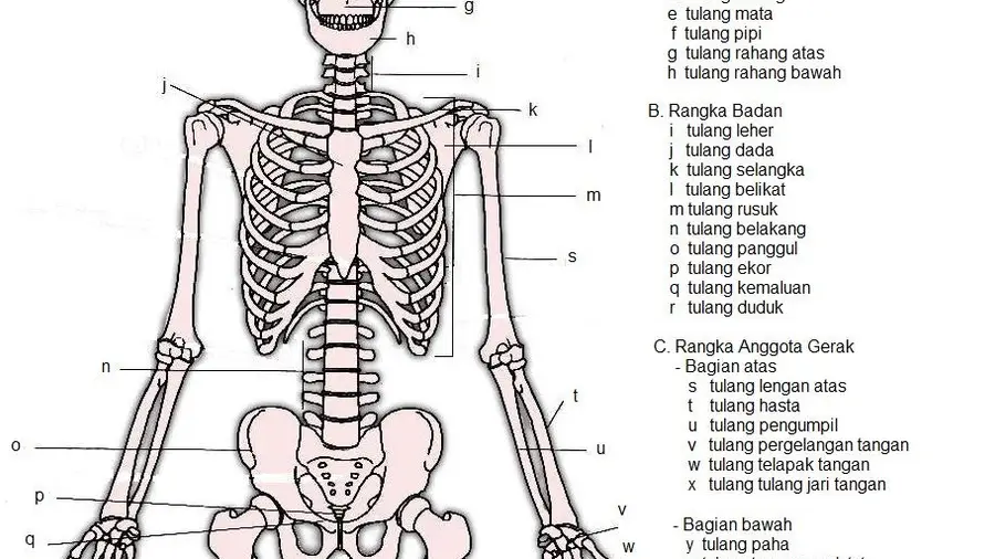 Tulang Punggung Ekonomi Daerah, Kominfo Bangkalan Perkuat UMKM dengan Konten Cerdas AI