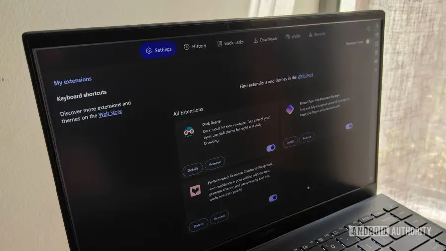 Ekstensi Penting untuk Browser yang Tingkatkan Privasi dan Kinerja Anda