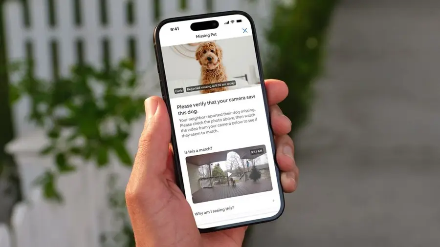 Ring Perkenalkan Fitur Pencarian Anjing Hilang untuk Semua Pemilik Hewan