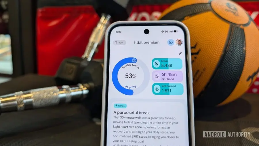 Fitbit Luncurkan Fitur AI untuk Tingkatkan Kesehatan Kardiovaskular Pengguna