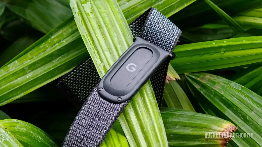 Fitbit Air Mengubah Pandangan Saya tentang Pelacak Kebugaran