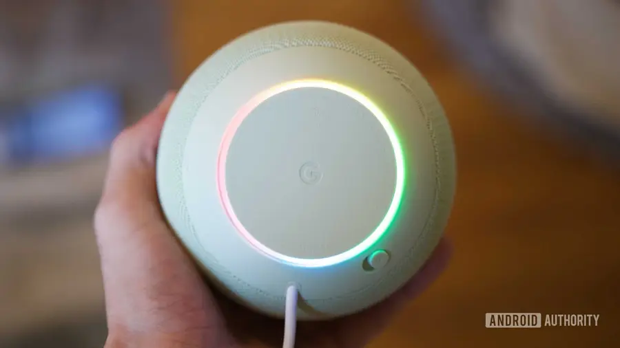 Gemini for Home Renames User to Fish Lemon