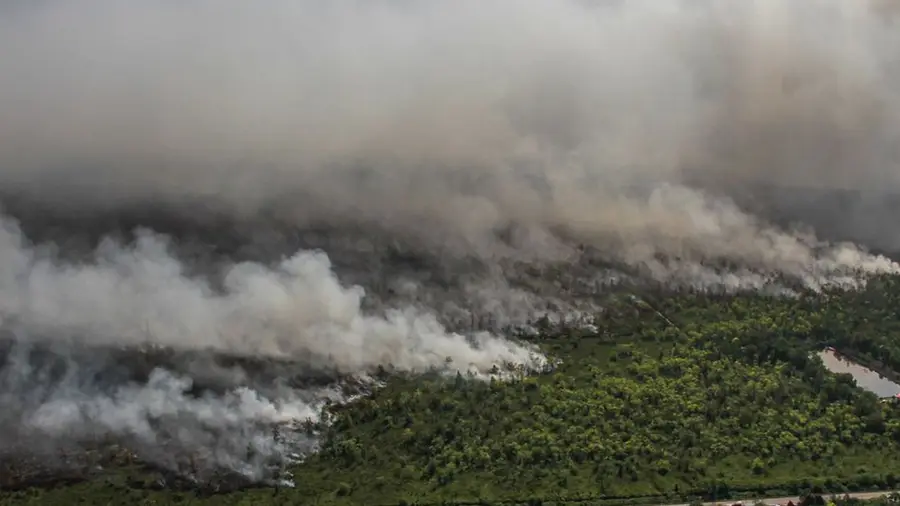 Kalimantan Terkena Kebakaran Hutan, Warganet Berdoa