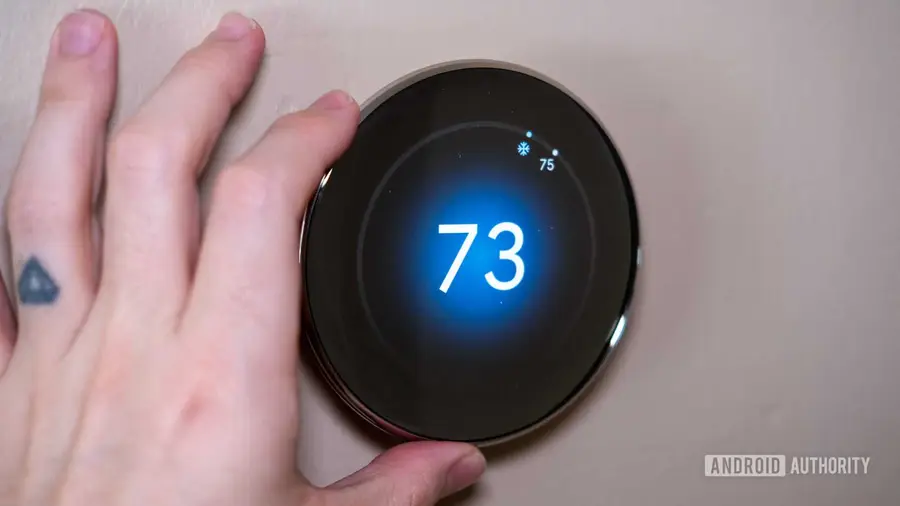 Nest Thermostat Voice Control Issues for Google Home Users