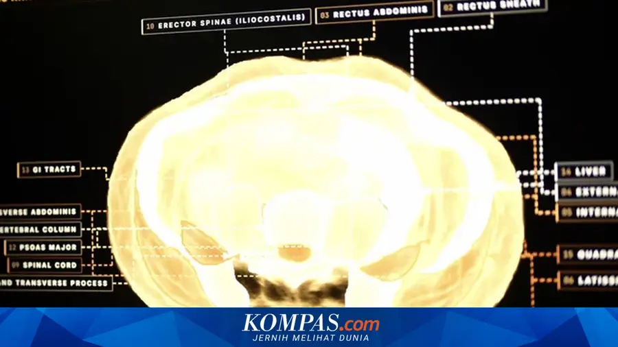 Midjourney Launches Fast and Revolutionary Body Scanner