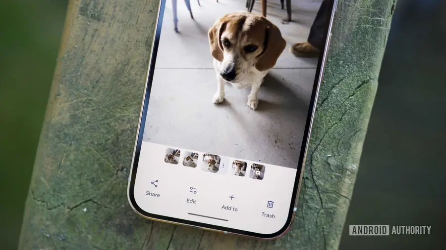 Pengguna Google Photos Minta Opsi Pembersihan yang Lebih Baik