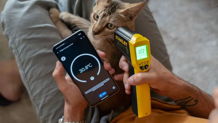 Survey Shows Most Popular Phone Sensor Replacement Tool
