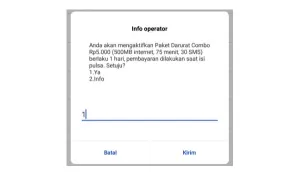 Paket Data Internet 500 MB 1 Hari