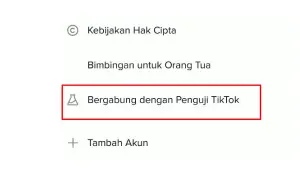 Bergabung Dengan Penguji Di TikTok