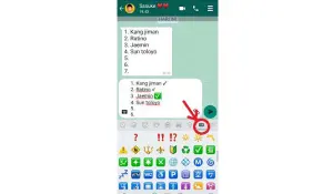 Cara Membuat Tanda Ceklis di WA dengan Emoticon