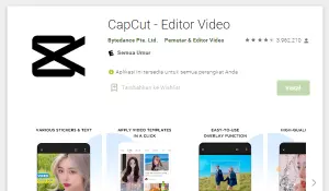 CapCut