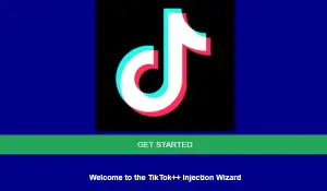 Cara Melihat Akun Tiktok dengan Tweaktown