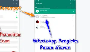 Cara Membuat Absensi di Whatsapp dengan Pesan Siaran
