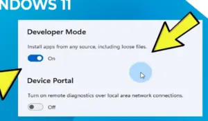 Aktifkan Developer Mode Windows 11
