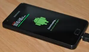 Melakukan Flashing