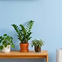 AC dan Air Purifier untuk Udara Bersih dan Sehat di Rumah