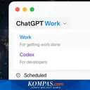 ChatGPT Work Resmi Diluncurkan untuk Membantu Pekerjaan Profesional