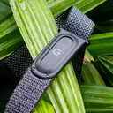 Fitbit Air Mengubah Pandangan Saya tentang Pelacak Kebugaran