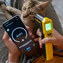 Google Hapus Fitur Termometer Pixel, Banyak yang Kecewa