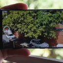 Google Kenalkan Fitur Video Remix di Google Photos