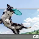 Samsung Galaxy S26 FE: Apa yang Perlu Diketahui Sebelum Membeli