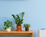 AC dan Air Purifier untuk Udara Bersih dan Sehat di Rumah