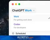 ChatGPT Work Resmi Diluncurkan untuk Membantu Pekerjaan Profesional