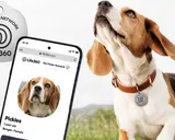Fitur Baru Life360 untuk Perawatan Hewan Peliharaan Keluarga