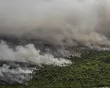 Kalimantan Terkena Kebakaran Hutan, Warganet Berdoa