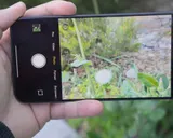 Google Pixel 11 Camera Lacks Features Found in Budget Phones