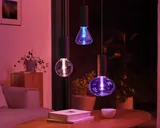 Philips Hue Luncurkan Fitur Cadangan dan Pemulihan untuk Pengguna