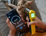 Sensor Ponsel yang Paling Sering Digunakan Menurut Survei