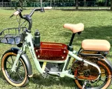 Tips Aman Memilih dan Mengisi Daya Baterai Sepeda Listrik
