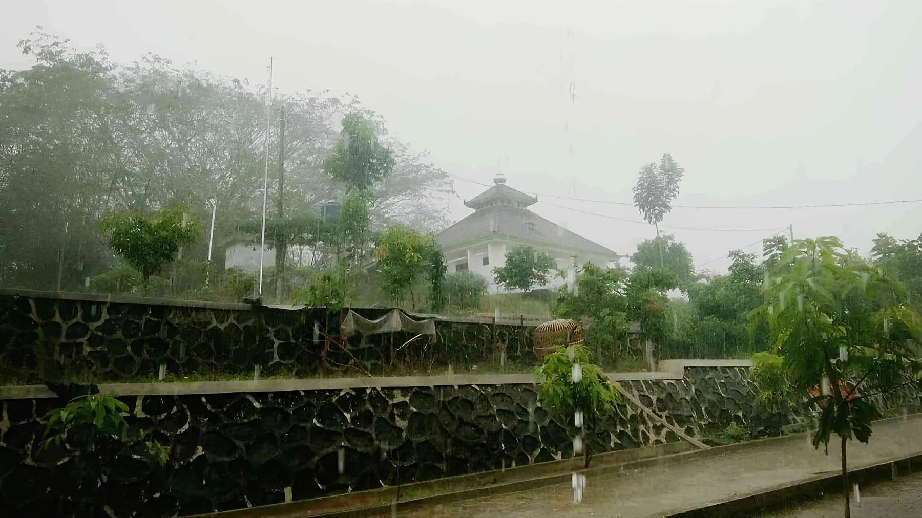 Menggali Dunia Fotografi Smartphone: Cahaya, Sudut, dan Cerita