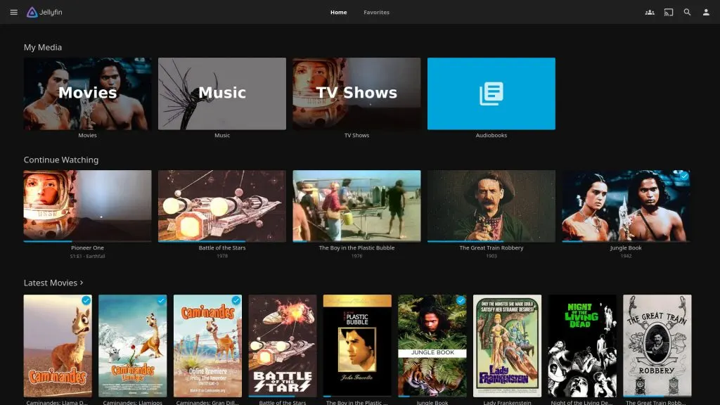 JellyFin officially launches di Tizen Store for TV Samsung Model Tertentu