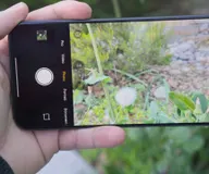 Google Pixel 11 Camera Lacks Features Found in Budget Phones