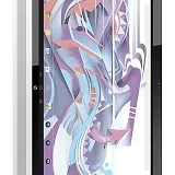 HP Slate 17