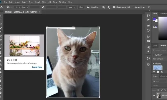 Cara Crop Foto di Photoshop dari Awal sampai Berhasil