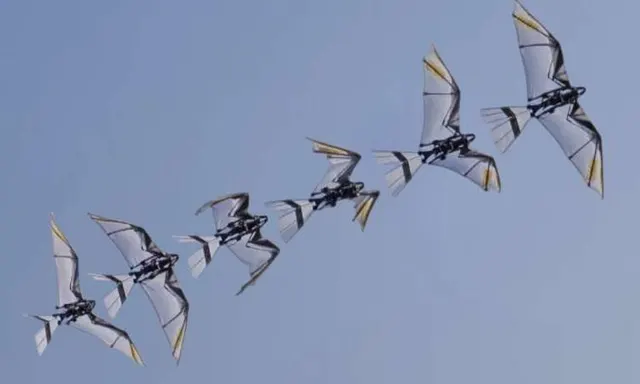 Ilmuwan Ciptakan Robot Burung Penerbang Elang
